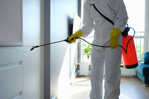 Best Mold Removal and Inspection  in Ellinwood, KS