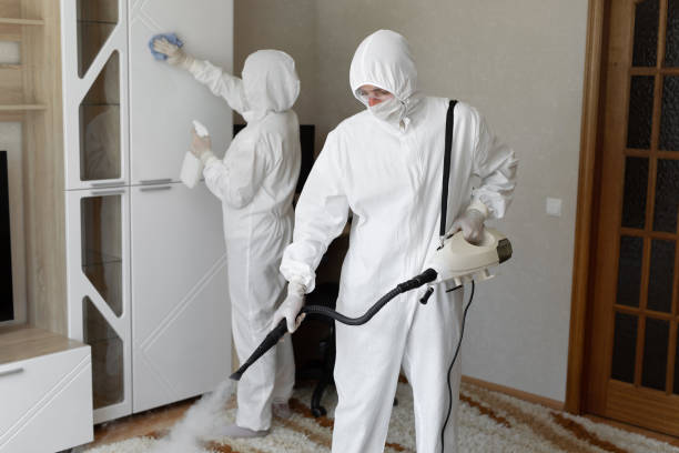 Mold Testing and Removal in Ellinwood, KS