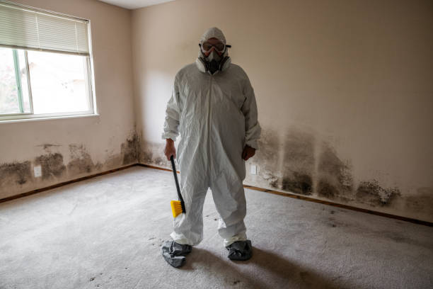 Best Toxic Mold Removal  in Ellinwood, KS