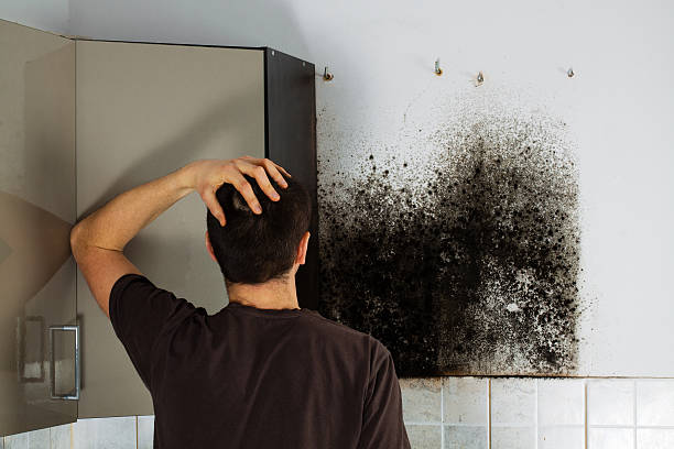  Ellinwood, KS Mold Removal Pros